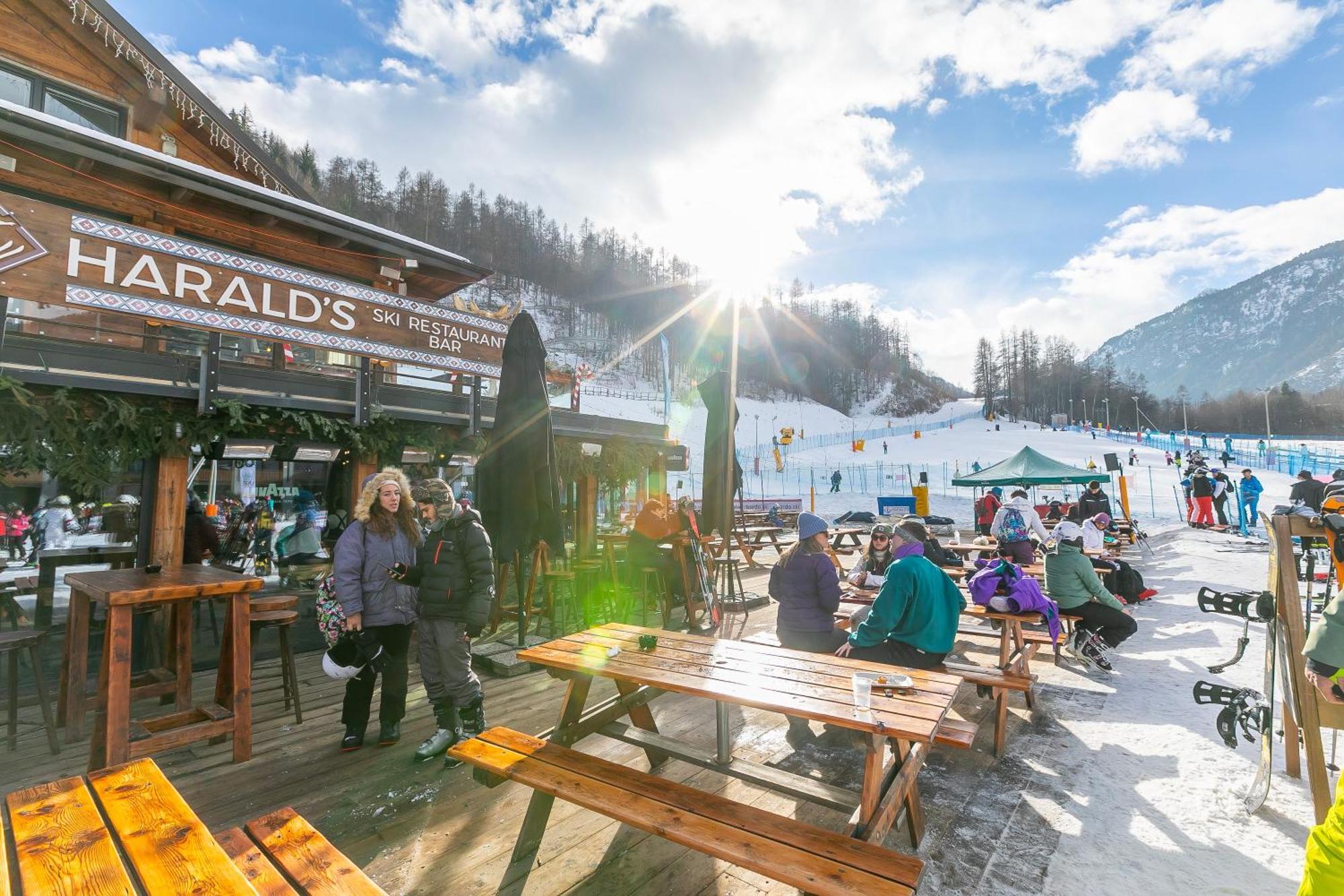 Il Nido Nella Pineta - Happy Rentals Bardonecchia Esterno foto